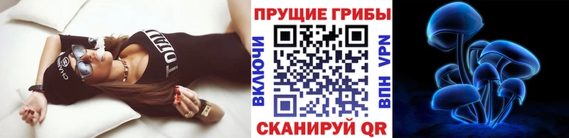Купить Кириллов Галлюциногенные грибы ЛСД